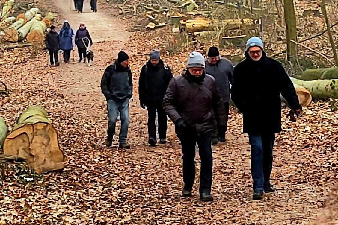 Wanderung durch den kahlen Wald