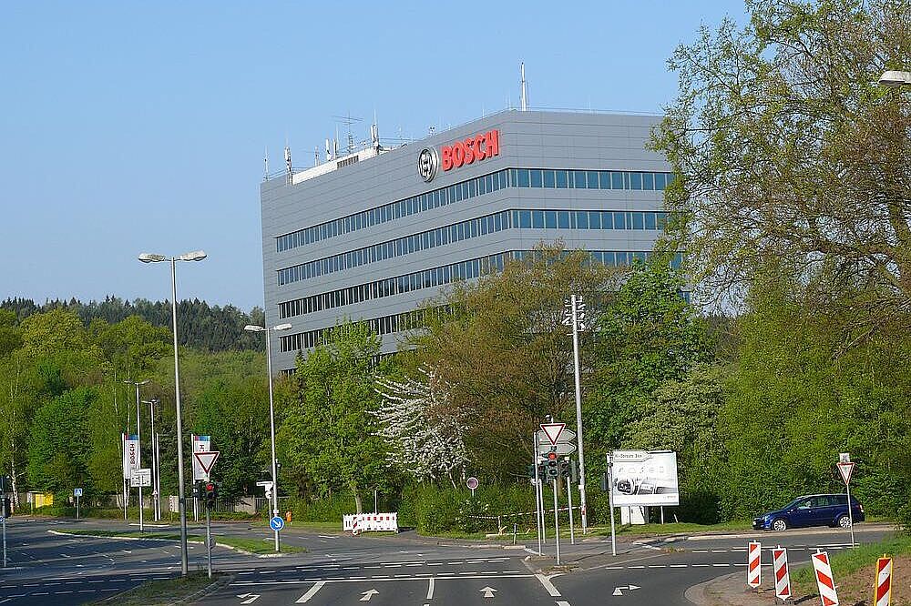 Bosch im Hildesheimer Wald