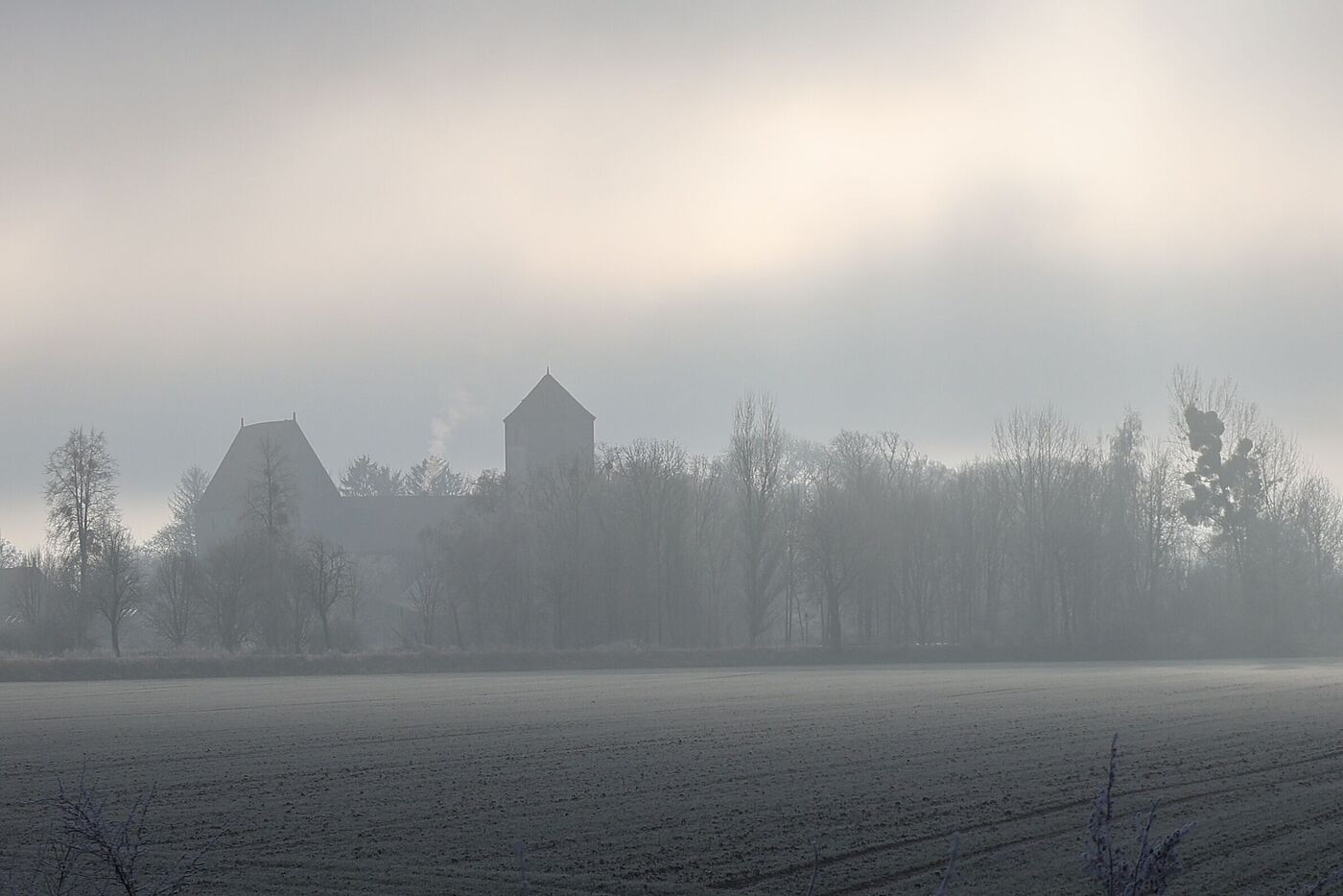 Blick auf Domäne Marienburg im Nebel