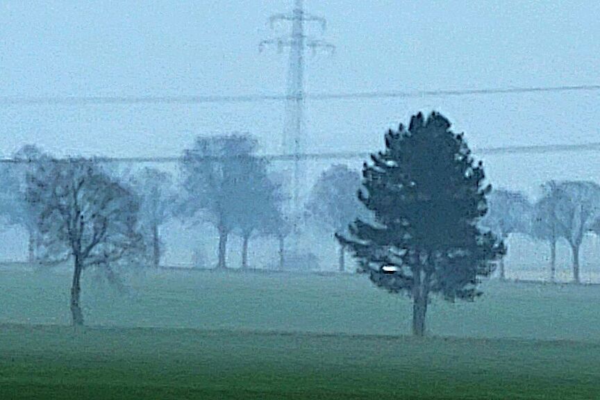 Nebelstimmung_20260125_115547web.jpg Nebel ziehen über die Felder